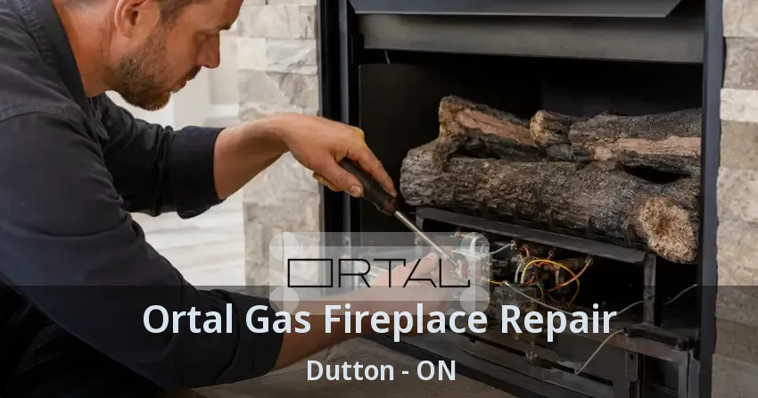 Ortal Gas Fireplace Repair Dutton - ON