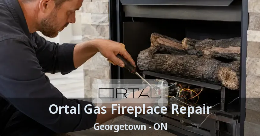 Ortal Gas Fireplace Repair Georgetown - ON