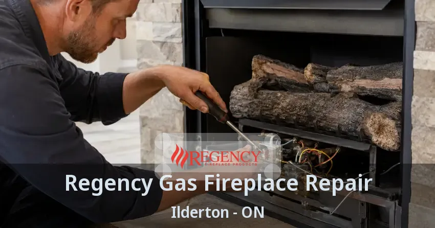 Regency Gas Fireplace Repair Ilderton - ON