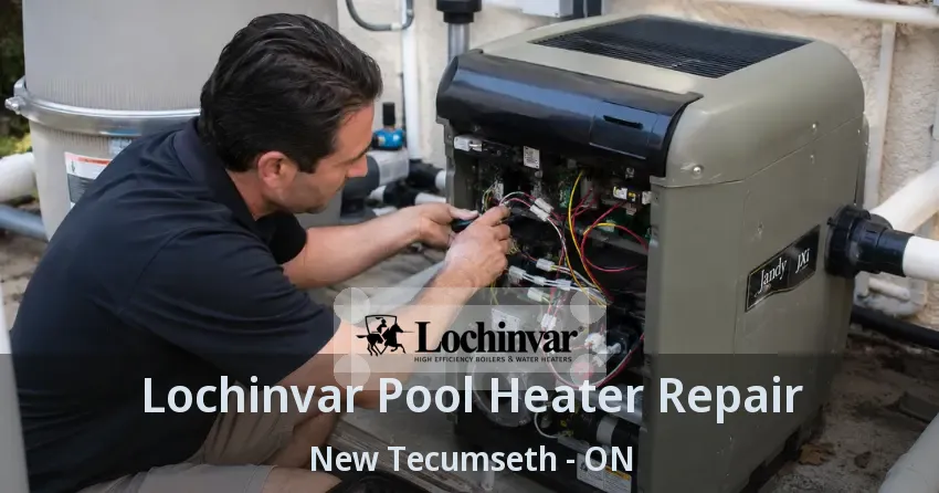 Lochinvar Pool Heater Repair New Tecumseth - ON