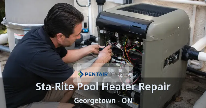 Sta-Rite Pool Heater Repair Georgetown - ON