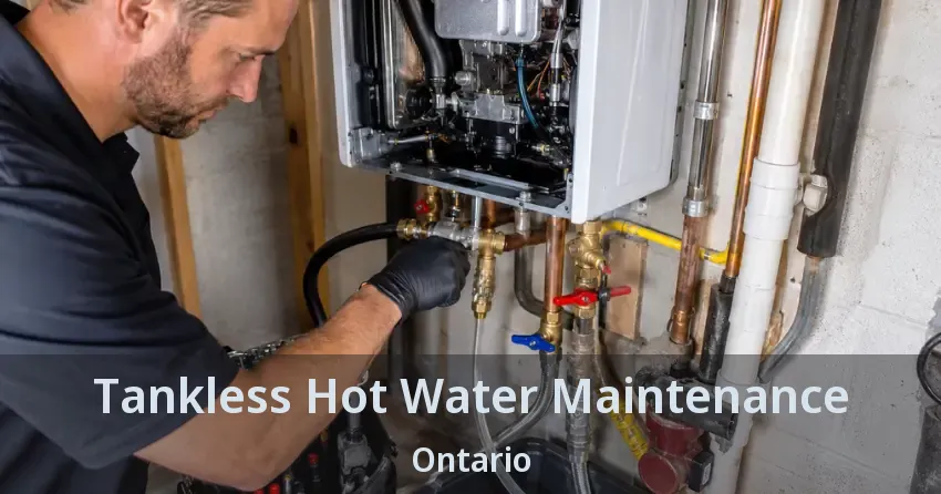 Tankless Hot Water Maintenance Ontario